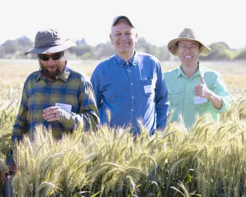 Three people standing in an open field at an Agricultural Experiment Station (AES), smiling and facing the camera