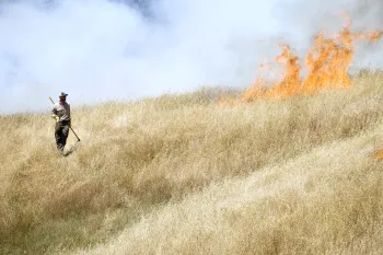 Controlled burn at UCCE Humboldt with smoke rising
