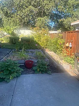 garden as seen in shade