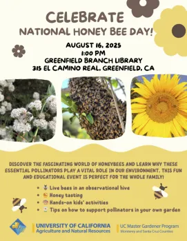 Colorful flyer for National Honey Bee Day class