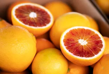 blood oranges