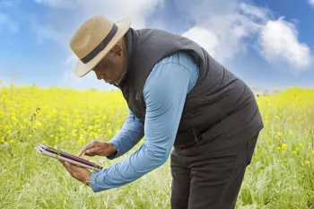 Man leans forward to look at tablet amid a field of cover crops