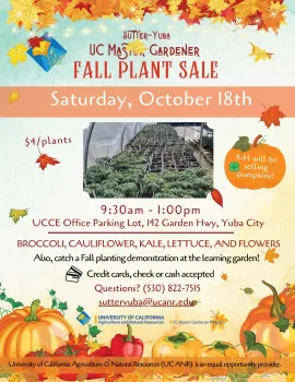 MG Fall Plant Sale 2025