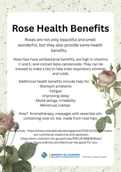 Rose benefits
