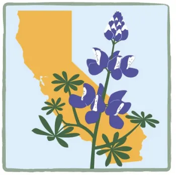 Climate Stewards logo no text