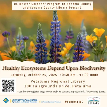 learn to increase garden biodiversity for a healthier ecosystem