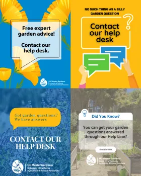 Help Desk Reminders social media graphic template preview