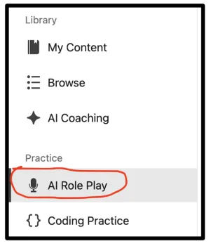 AI Role Play 