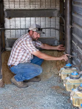 Scott Beasley inspects the tipping buckets in the trench built for the rock amendment study