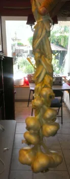 Garlic hanging in a braid.