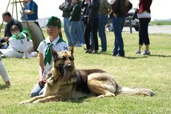 4H student with a dog during achievement day.