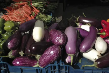 Fresh vegetables, primarily purple eggplants, with some orange carrots and red and green peppers, at a farmers' market