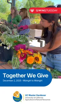 Madera Giving Tuesday