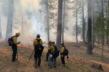 Prescribed burn in Butterfly Valley