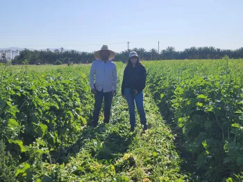 Ana and farmer stand in green field