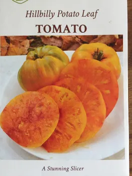 Heirloom tomato Hillbilly. Kim Schwind