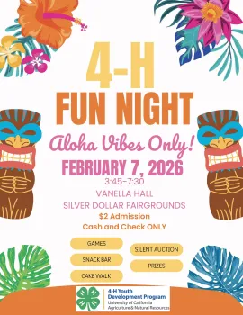 Fun Night 2026 Flyer with event details