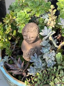 succulents and figurine