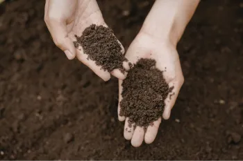 Garden soil held in open hands