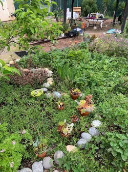 A verdant heart shaped section, outlined in rocks, of the Discovery House garden.