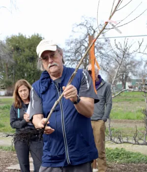 Tom Hansen demonstrates the root system on a bare root fruit tree. Michelle Graydon
