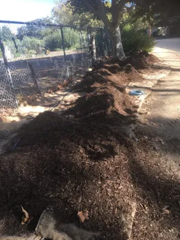 Piles of rich mulch are waiting to be spread along the narrow parking strip where the demonstration garden was planted.