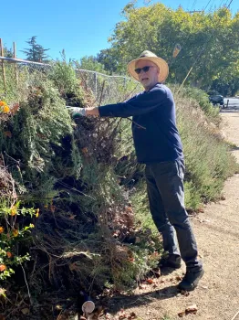 UC Master Gardener Phil Quinlan cares for the many native plants the team designed and installed.