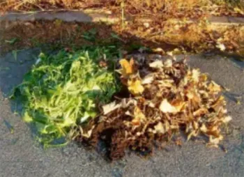 Green and Brown Kitchen Scraps, courtesy Master Gardeners of Sacramento