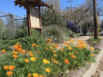 New Gehringer Demonstration Garden in Concord, courtesy UC Master Gardener volunteers