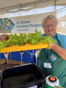 A UC Master Gardener volunteer stands under a canopy, holding a hydroponic lettuce system with leafy greens growing in a yellow lid above a water container. Roots hang visibly into the water below, demonstrating the Kratky method. A UC Master Gardener Program banner is displayed in the background.