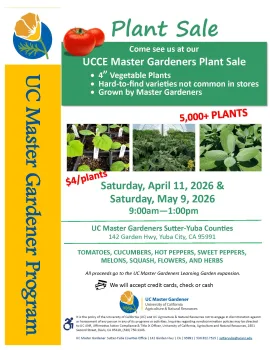 Tomato Plant Sale Flyer 2026