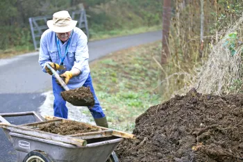 A man shoveling compost from a pile on the ground into a wheelbarrow.