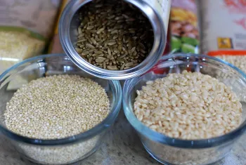 three small containers with uncooked grains