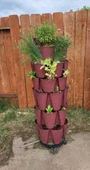 Vertical Tower system growing herb, onions, garlic
