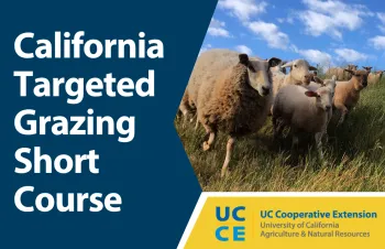 Flyer for the California Targeted Grazing Short Course offered by UC Cooperative Extension