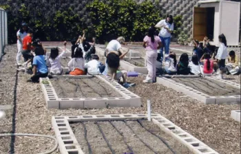 A group of children sits in rows in a garden next to raised garden beds, listening to an instructor who stands and gestures. The beds are built with cinder blocks and the garden paths show small-sized bark paths.