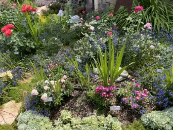 One of the gardens on the 39th Annual Mother's Day Garden Tour