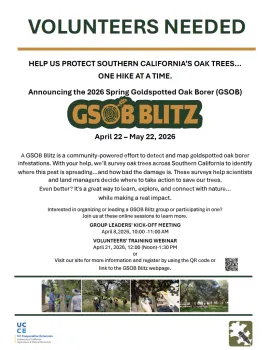 A small image of the 2026 GSOB Blitz flyer, white background with text, photos and logos.