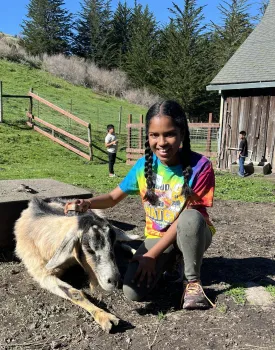 Students brushing our friendly livestock