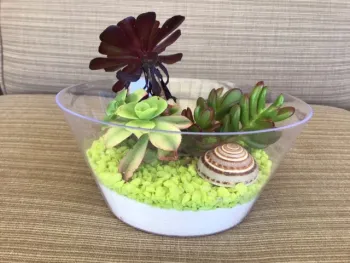 A glass bowl with a lower layer of white sand, another layer of neon green gravel, seashells on top, and succulents.