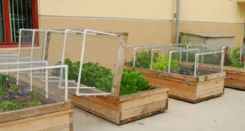 Wooden raised garden beds with PVC pipe frames and netting covers. One cover is open by a hinge on the long edge of the garden bed. The three beds contain various green plants and vegetables.