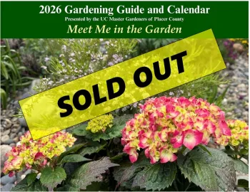 2026 Calendar Sold Out Image