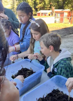 Students learn what healthy soil looks like