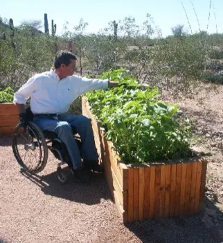 A person in a wheelchair reaches towards a raised garden bed filled with lush green plants. The garden is in a dry, arid landscape with cacti and desert vegetation in the background. The ground appears to be compacted decomposed granite.