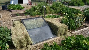A home-made cold frame consisting of straw bales creating a rectangular walls around a planting area and a repurposed glass window pane covering the area, creating a warmer more protected environment for plants growing within