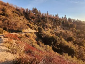 desert landscape on a slope