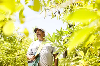 Man smiling in an avocado orchard at Southcoast REC