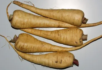 Five parsnips