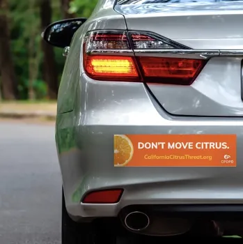 Orange bumper sticker on a car that says Don't Move Citrus. CaliforniaCitrusThreat.org - CPDPD