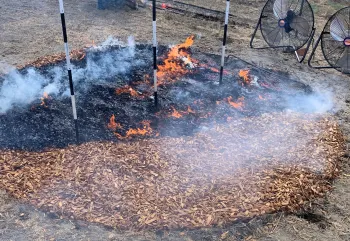 redwood bark (non-composted mulch) produces flames once ignited